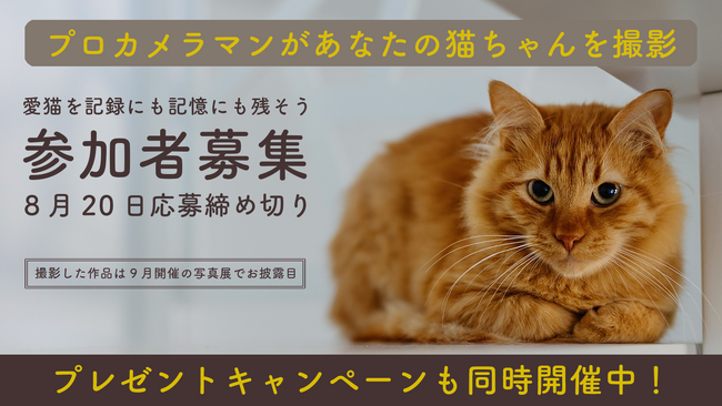 ペットライン、「ねこの認知症 写真展」9月に都内で開催