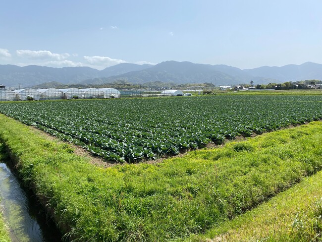 Fusicが福岡県半導体・デジタル産業振興会議の助成事業に採択：衛星データを活用した革新的な農作物生産量予測モデルの構築への取り組み