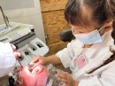 白衣姿で実際の器具を使います。まさに歯医者さん!(過去の様子) 白衣姿で実際の器具を使います。まさに歯医者さん!(過去の様子)
