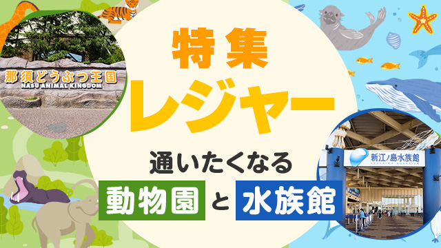 【auスマートパスプレミアム】新江ノ島水族館と那須どうぶつ王国の魅力や推しのいきものを紹介する「通いたくなる動物園と水族館」特集公開