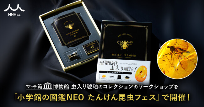 マッチ箱博物館 虫入り琥珀のコレクションのワークショップを「小学館の図鑑NEO たんけん昆虫フェス」で開催！