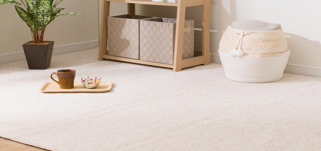 【ニトリ】ほこりが取れやすい加工と、消臭加工の２シリーズの折りたたみカーペットが新登場