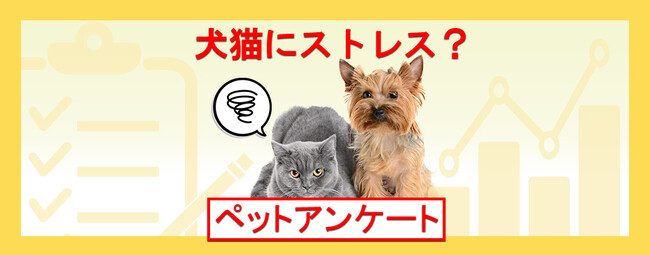 犬猫のストレス解消のコツは？台風などの天候変化もストレスになる？『ペット保険比較のピクシー』
