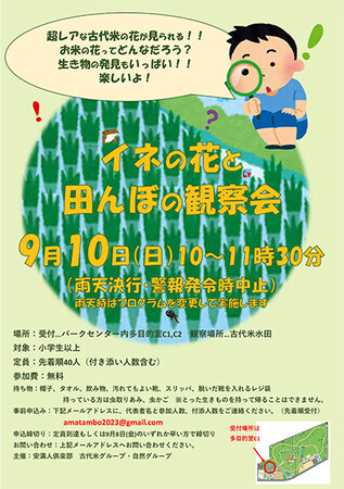 ほんの数時間しか咲かない超レアなイネの花を観察しよう