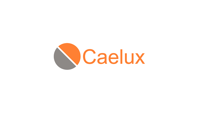 低コストで発電効率が高い独自のペロブスカイト太陽電池を提供するCaelux Corporationへ出資
