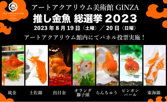 アートアクアリウム美術館 GINZAの人気NO.1金魚は?!「推し金魚総選挙2023」開催決定！