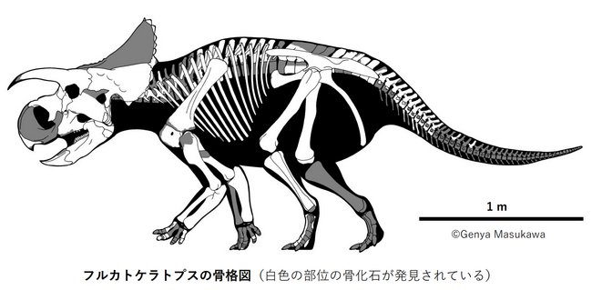 【国立科学博物館】新種の角竜を命名～『恐竜博2023 大阪会場』で実物化石を展示中～