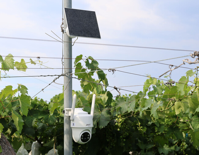 ソーラー発電だから電源いらずで設置可能！農作物を盗難や獣害から守る「防犯・監視カメラMC1」を新発売