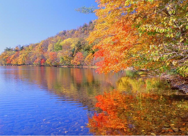 【屈斜路プリンスホテル】阿寒摩周国立公園と屈斜路湖面に映える絶景紅葉！火山・森・湖の壮大な大自然を体感　日本最大の壮大なカルデラを感じるトレイル旅にオススメな滞在プランをご提供