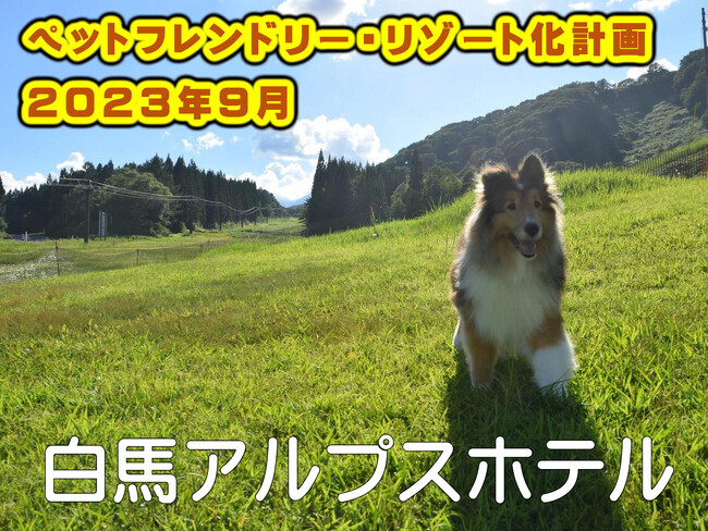 北アルプスの絶景を眺めるエリア最大級リゾートホテル「白馬アルプスホテル」。ペットフレンドリー・リゾート化に着手
