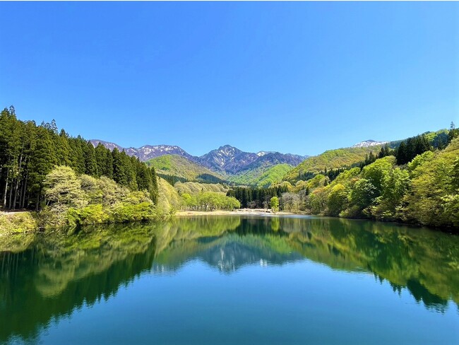 新潟の駅×自転車で楽しもう！「駅からサイクリング」開催！！
