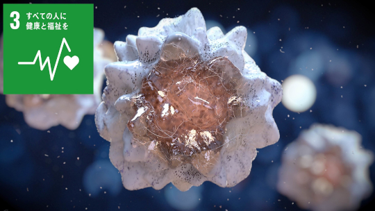 免疫細胞の炎症制御「硫黄代謝」がカギ~マクロファージの硫黄代謝を標的とした創薬にむけて~