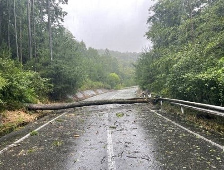 トラストバンク、ふるさとチョイス災害支援で台風 7 号で被災した三重県伊賀市のふるさと納税の寄付受け付けを開始