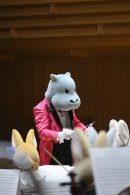 コビトカバ コビトカバ