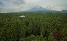「国産広葉樹活用プロジェクトセミナー」を9月20日に開催