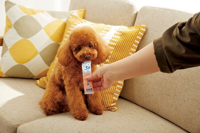 おやつでおいしく口のケアができちゃう！？L8020乳酸菌入り犬用おやつ＆猫用おやつに新味『サーモン』が8月17日（木）に新登場！