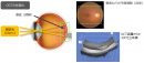 OCTの仕組み OCTの仕組み