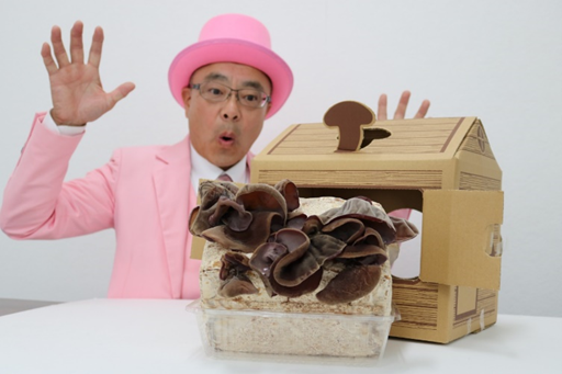 国産きくらげ育てよう