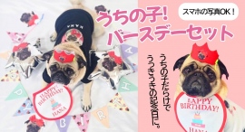 うちの子と一緒に楽しむ誕生日!お気に入り写真から作れる世界にひとつだけ「うちの子バースデーセット」を2023年8月24日(木)新発売!!期間限定20%OFF!! うちの子と一緒に楽しむ誕生日!お気に入り写真から作れる世界にひとつだけ「うちの子バースデーセット」を2023年8月24日(木)新発売!!期間限定20%OFF!!