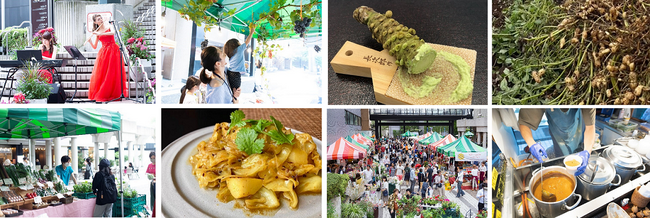今年のシルバーウィークはアークヒルズで秋の味覚を堪能！「ヒルズマルシェ “大収穫祭”」開催
