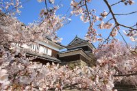 インバウンド経済効果、3.2億円以上の増加を目標に。上田市と連携し、モニターとして高付加価値ツアーを造成。中国人富裕層を呼び込み