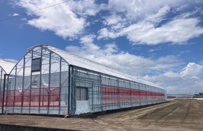 自動化農業システム『Sustagram Farm』のモデルハウスが鹿児島県に竣工タカミヤの農業用ハウスにAGRISTのピーマン自動収穫ロボット「L」が実装