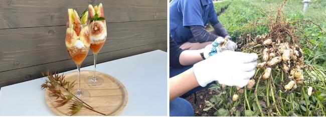 実りの秋の収穫体験ほか、好評だった食関連プログラムが、食欲の秋に再集結！「Grandvaux Autumn Hunt」　9月1日（金）～11月30日（木）開催