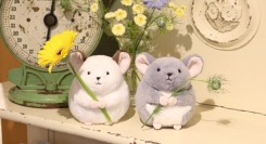 人気で品切れしていたチンチラのオリジナルぬいぐるみがBleu Bleuet(ブルーブルーエ)の店舗とオンラインストアで9/3（日）より再販売開始♪