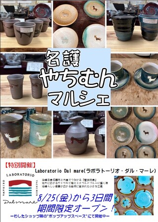 【札幌わしたショップ】沖縄県産陶器「やちむん」の販売・絵付け体験「名護やちむんマルシェ」開催中！