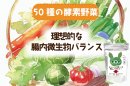 50種類の発酵野菜 50種類の発酵野菜