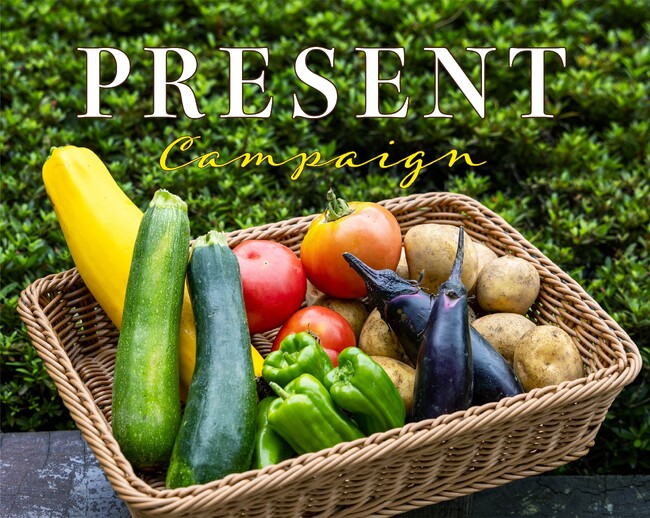 「GRANVISTA PRESS」読者プレゼントキャンペーン開催　北海道の恵みたっぷり！自然栽培野菜の詰め合わせセットをプレゼント