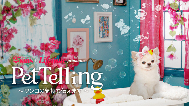 ペットの本音をスピリチュアルカウンセラーが伝えます「Pet Telling ～ワンコの気持ち伝えます～」が9月28日（木）よりHuluで配信開始！