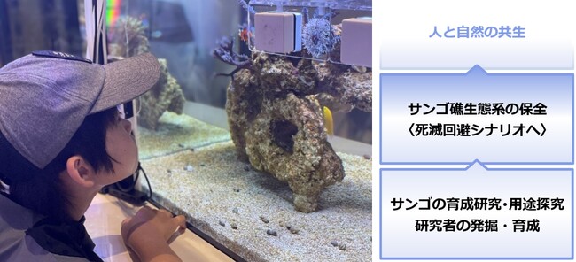本社エントランスに「サンゴ礁の生態系を再現した水槽」を展示