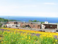 北海道ワイン株式会社の本社醸造所が「体験型ワイナリー」としてリニューアル　9月7日(木)プレオープンに伴い、ワイナリー見学予約受付中！