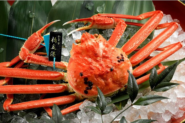 わんちゃんとずっと一緒に過ごせる宿で、冬の味覚の王様「面付ずわい蟹、香箱蟹、青タグブランド蟹」を堪能！11月1日（水）よりご提供開始ご予約好評受付中！