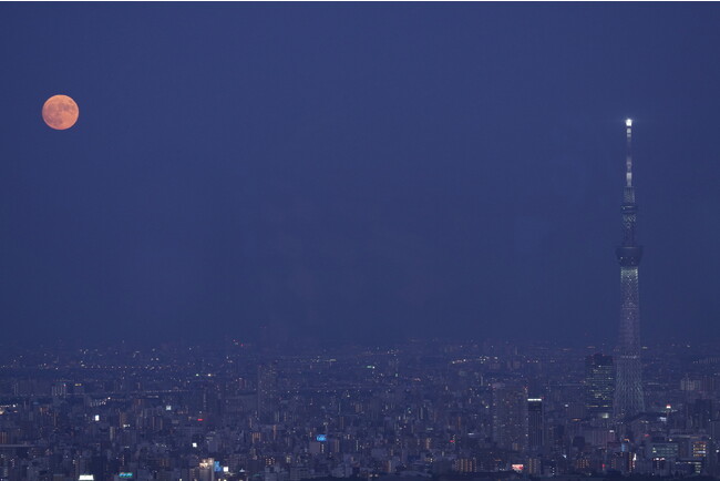 サンシャイン60展望台 天体観賞会「てんたいパーク2023」第三弾～中秋の名月～＜9月29日（金）17:30～19:00＞