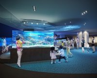 【すみだ水族館】世界自然遺産 小笠原諸島にもっと近づく新常設展示
「オガサワラベース」9月30日公開