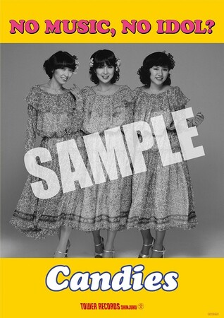 新宿店発、アイドル企画「NO MUSIC, NO IDOL?」ポスターVOL.288 The Platinum Collection～50th Anniversary～発売記念 キャンディーズ初登場！