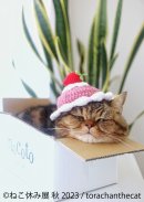 展示作品3 展示作品3