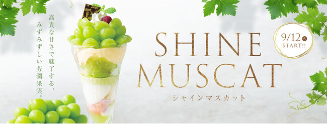 国産のシャインマスカットを10粒使用したサンデーなど見た目も鮮やかなデザート5品登場