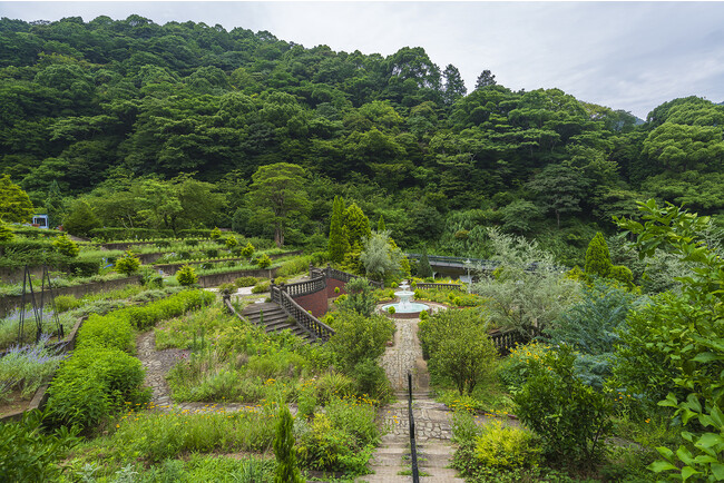 ACAO SPA & RESORT、1000人が収容できる一時避難場所として、20万坪の観光庭園「ACAO FOREST」を開放。「ACAO防災公園構想」