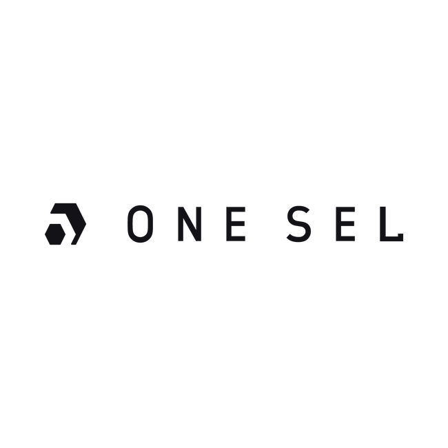 Webメディア「onesuite」運営のONESEL合同会社、組織変更に伴いONESEL株式会社に社名変更し、事業紹介ムービーを公開。