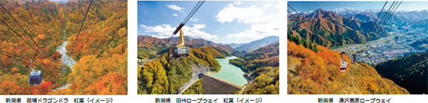 2023年秋の国内旅行動向今年は本格的な大自然志向「絵葉書のような紅葉に出会う」奥越後が人気