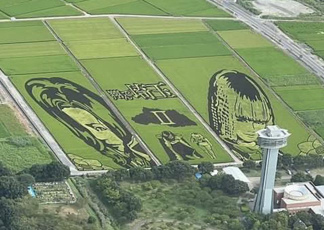 AirX、2023「田んぼアート」in行田の上空を周遊するヘリ遊覧を期間限定で開催