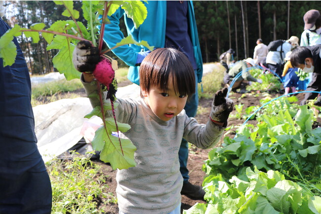 親子で触れる野菜の育ち 太陽をたっぷり浴びたミニトマト収穫など 9月9日(土)〔群馬〕