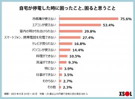 結果：自宅が停電した時に困ったこと、困ると思うこと