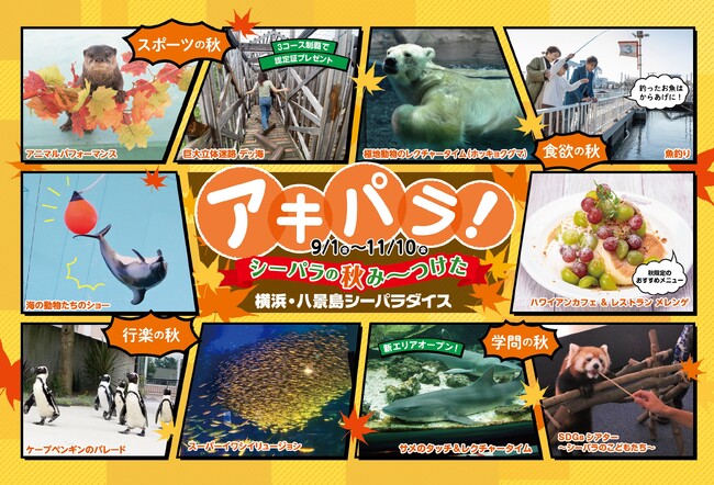 【横浜・八景島シーパラダイス】シーパラならではのさまざまな秋が盛りだくさん！「アキパラ！」【２０２３年９月１日（金）～１１月１０日（金）】