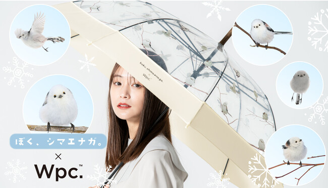”雪の妖精”シマエナガの愛くるしい姿が癒される！『ぼく、シマエナガ。』と初コラボレーションやなぎさわごう×Wpc.「シマエナガアンブレラ」発売
