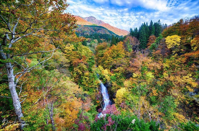 県境地域の魅力発信！新潟県と長野県合同プロモーションイベント「『奥信越の秋』を満喫！知って食べて満喫 秋山郷」