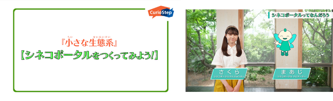ソニーが実施する、子どもたちの好奇心を育む環境教育プログラム 子どもたちと一緒に生物多様性や環境への興味の扉をひらく　動画「 『小さな生態系』 シネコポータルをつくってみよう！」 を公開